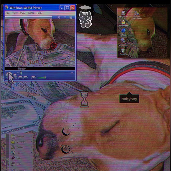 zay5778